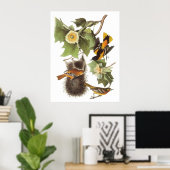 Audubon's noordelijke oosterlengte poster (Thuiskantoor)