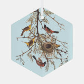 Audubon's orchard Oriole Birds in a Honey Locust Glas Ornament (Achterkant)