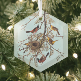 Audubon's orchard Oriole Birds in a Honey Locust Glas Ornament