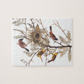 Audubon's orchard Oriole Birds in Honey Locust Legpuzzel (Horizontaal)