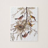Audubon's orchard Oriole Birds in Honey Locust Legpuzzel (Verticaal)