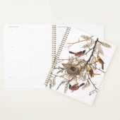 Audubon's orchard Oriole Birds Nesting in Tree Planner (Display)