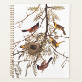 Audubon's orchard Oriole Birds Nesting in Tree Planner (Voorkant)