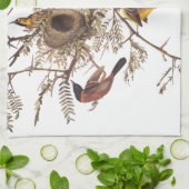 Audubon's orchard Oriole Birds Nesting in Tree Theedoek (Gevouwen)