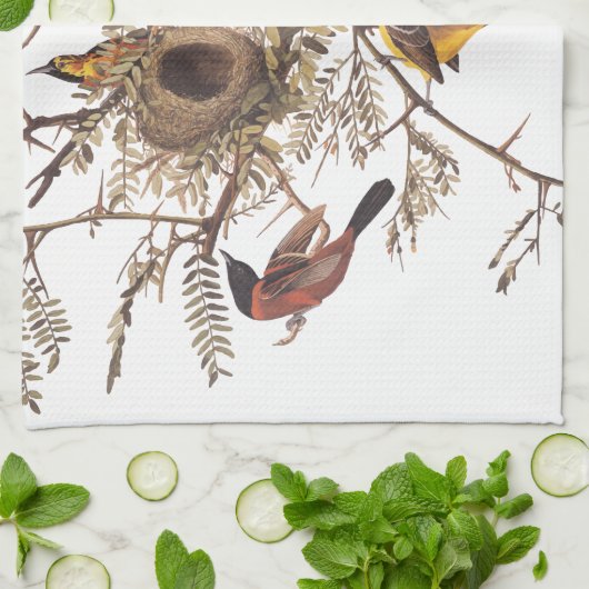 Audubon's orchard Oriole Birds Nesting in Tree Theedoek (Gevouwen)