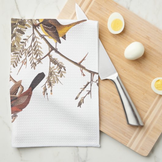 Audubon's orchard Oriole Birds Nesting in Tree Theedoek (Quarter Fold)