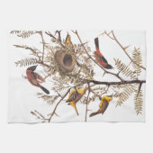 Audubon's orchard Oriole Birds Nesting in Tree Theedoek (Horizontaal)