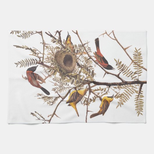 Audubon's orchard Oriole Birds Nesting in Tree Theedoek (Horizontaal)