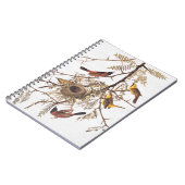 Audubon's orchard Oriole in Honey Locust Notitieboek (Linkerzijde)