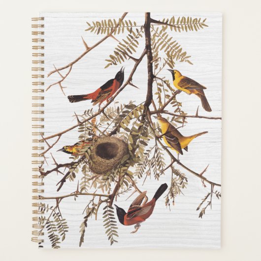 Audubon's orchard Oriole in Honey Locust Planner (Voorkant)