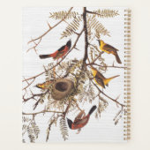 Audubon's orchard Oriole in Honey Locust Planner (Achterkant)