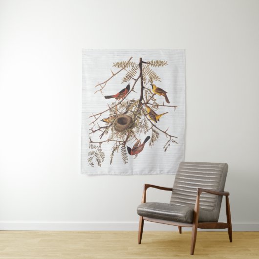 Audubon's orchard Oriole in Honey Locust Wandkleed (In situ)