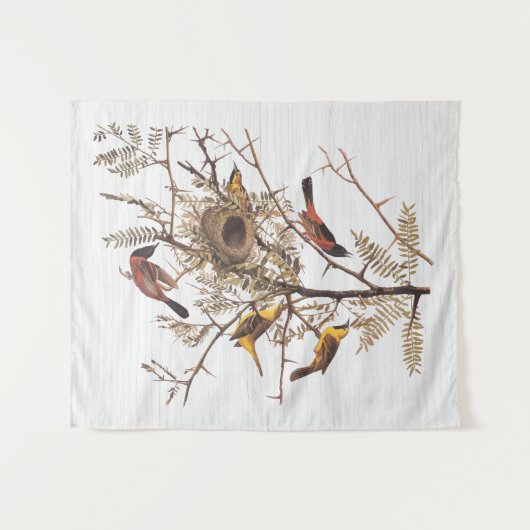 Audubon's orchard Oriole in Honey Locust Wandkleed (Voorkant (horizontaal))