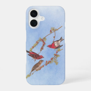Audubon's Paarse finch Red Birds Art Hoesje- iPhone 16 Hoesje