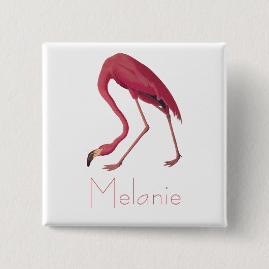 Audubon's Pink Flamingo  Birds of America Vierkante Button 5,1 Cm (Voorkant)