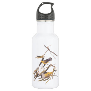 Audubon's prothonotary Warbler Vogels op Cane Vine Waterfles