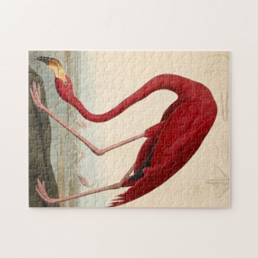 Audubon's Red Flamingo Jigzaag Puzzle Legpuzzel (Horizontaal)