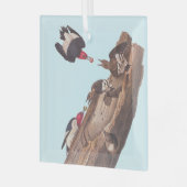 Audubon's Red-Headed Woodpecker Familie in Log Glas Ornament (Voorkant links)