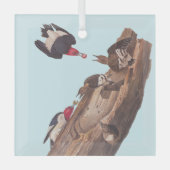 Audubon's Red-Headed Woodpecker Familie in Log Glas Ornament (Voorkant)