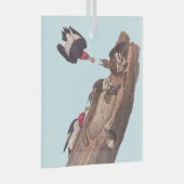 Audubon's Red-Headed Woodpecker Familie in Log Glas Ornament (Voorkant Rechts)
