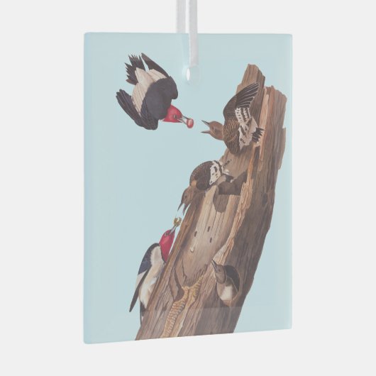 Audubon's Red-Headed Woodpecker Familie in Log Glas Ornament (Voorkant Rechts)