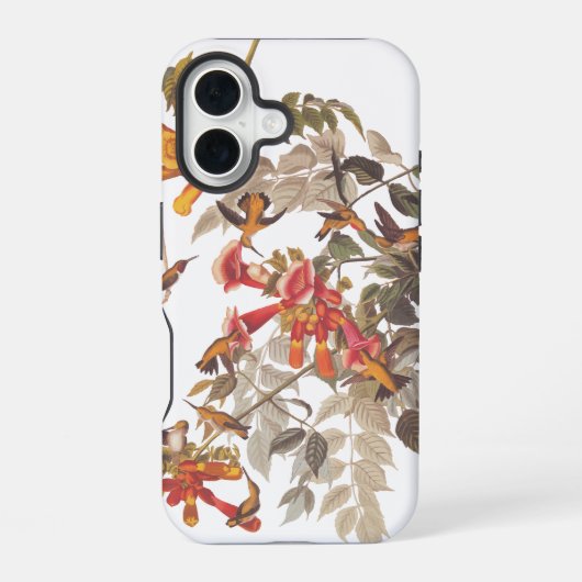 Audubon's Ruby Throated Hummingbird and Flowers iPhone 16 Hoesje (Achterkant)