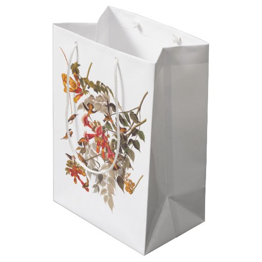 Audubon's Ruby Throated Hummingbird and Flowers Medium Cadeauzakje (Achterkant Gekanteld)