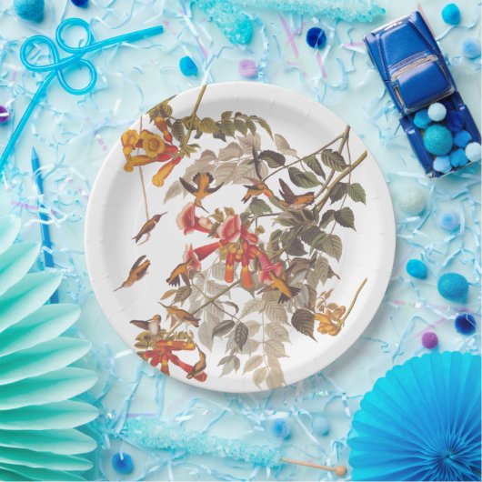 Audubon's Ruby Throated Hummingbird and Flowers Papieren Bordje (Feest)