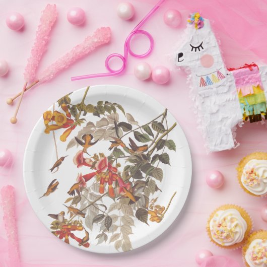 Audubon's Ruby Throated Hummingbird and Flowers Papieren Bordje (Feest)