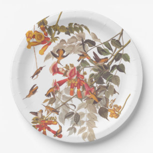 Audubon's Ruby Throated Hummingbird and Flowers Papieren Bordje
