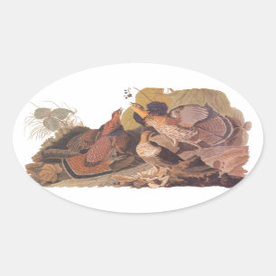 Audubon's Ruffed Grouse Ovale Sticker