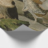 Audubon's schilderen van een trio van Ruffed Grous Cadeaupapier (Hoek)