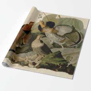 Audubon's schilderen van een trio van Ruffed Grous Cadeaupapier