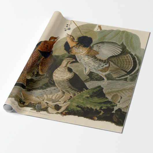 Audubon's schilderen van een trio van Ruffed Grous Cadeaupapier (Uitgerold)