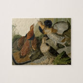 Audubon's schilderen van een trio van Ruffed Grous Legpuzzel (Horizontaal)