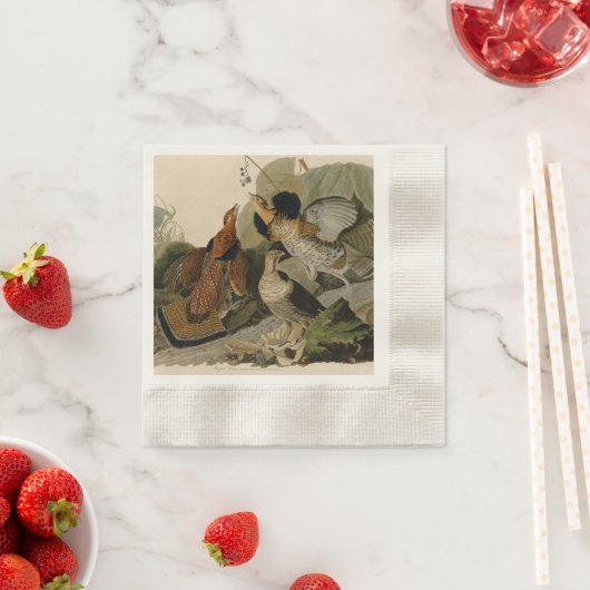 Audubon's schilderen van een trio van Ruffed Grous Servetten (Insitu)