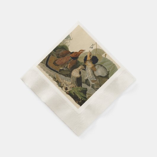 Audubon's schilderen van een trio van Ruffed Grous Servetten (Hoek)
