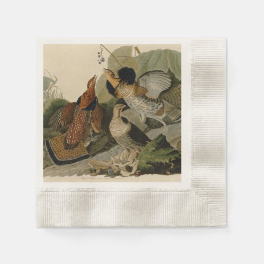 Audubon's schilderen van een trio van Ruffed Grous Servetten (Voorkant)