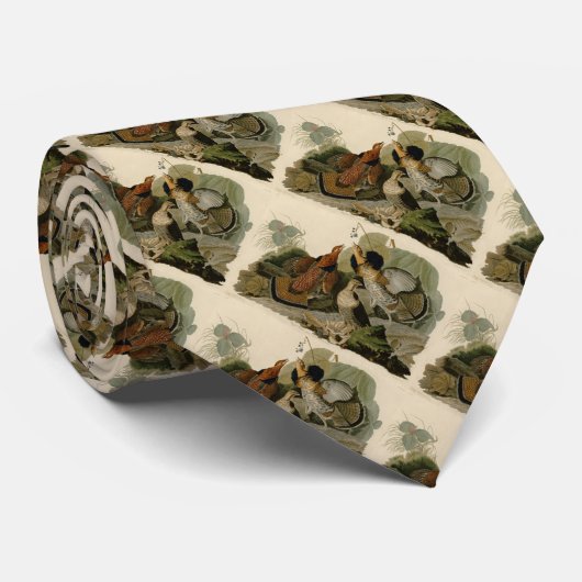 Audubon's schilderen van een trio van Ruffed Grous Stropdas (Opgerold)