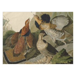 Audubon's schilderen van een trio van Ruffed Grous Tafelkleed
