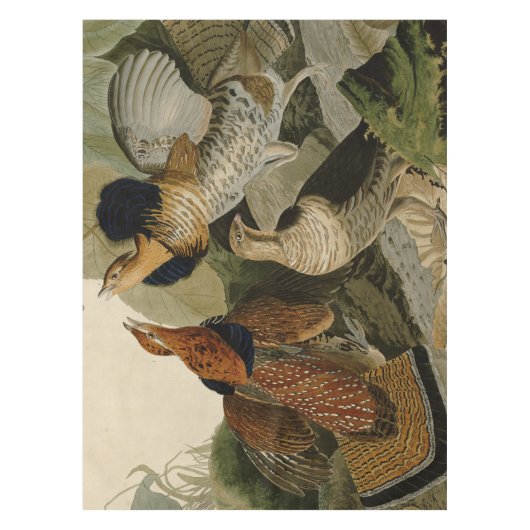Audubon's schilderen van een trio van Ruffed Grous Tafelkleed (Voorkant)