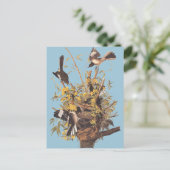 Audubon's spotvogel briefkaart (Staand voorkant)