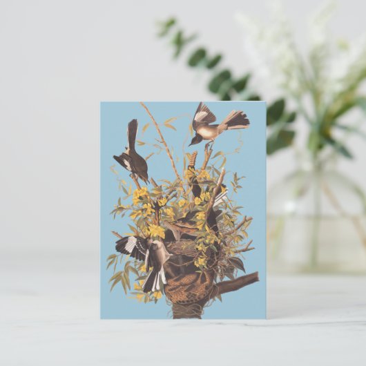 Audubon's spotvogel briefkaart (Staand voorkant)