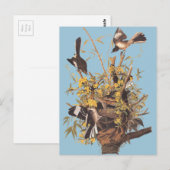 Audubon's spotvogel briefkaart (Voorkant / Achterkant)