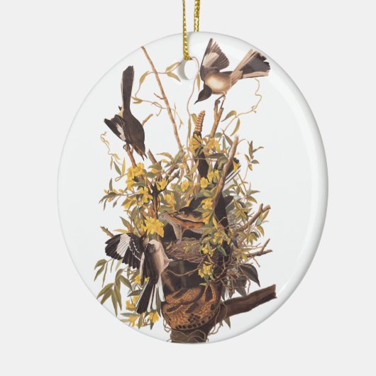 Audubon's spotvogel keramisch ornament (Links)
