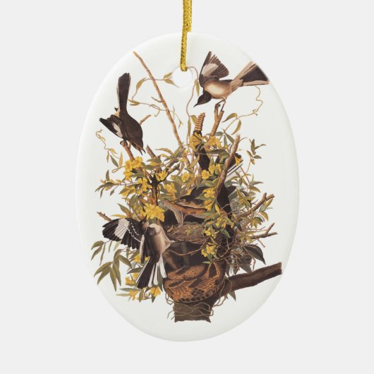 Audubon's Spotvogels verdedigen nest Keramisch Ornament (Voorkant)