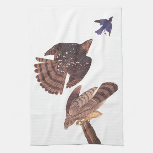Audubon's Stanley's Hawks die een blauwe vogel jag Theedoek