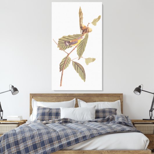 Audubon's Swainson's Warbler op Oak Branch Canvas Afdruk (Insitu (Slaapkamer))