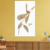 Audubon's Swainson's Warbler op Oak Branch Canvas Afdruk (Insitu (Woonkamer))