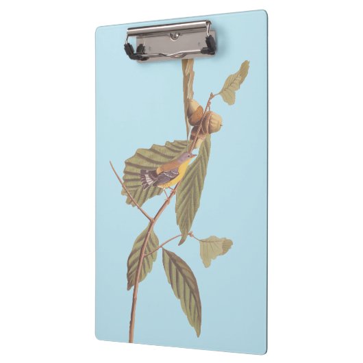 Audubon's Swainson's Warbler op Oak Branch Klembord (Links)